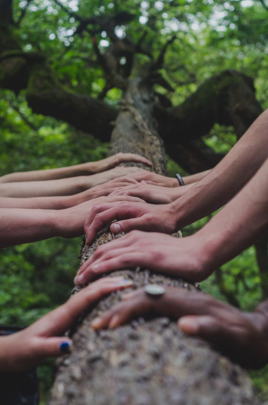 Integration games for employees - what competences do they develop?
