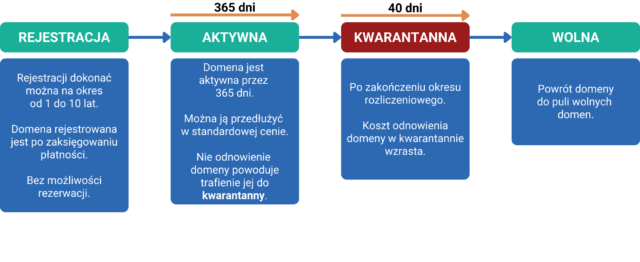 Odnowienie domen – co warto o tym wiedzieć?